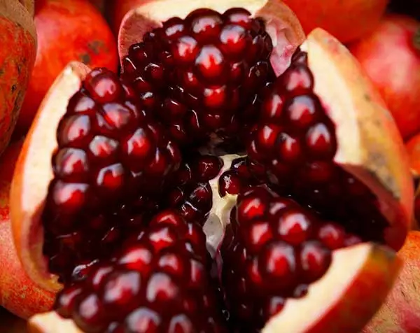 Pomegranate