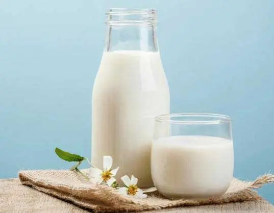 Milk