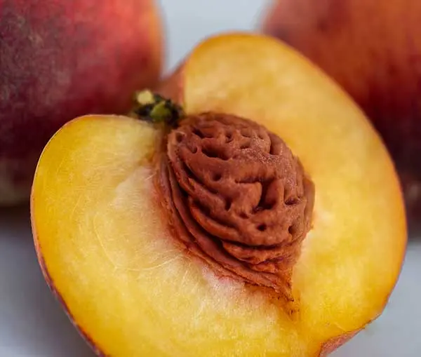 Peach