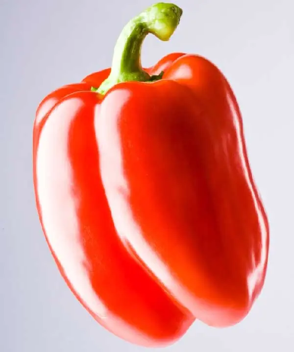 Red Pepper