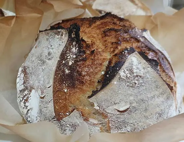 Sourdough Bread