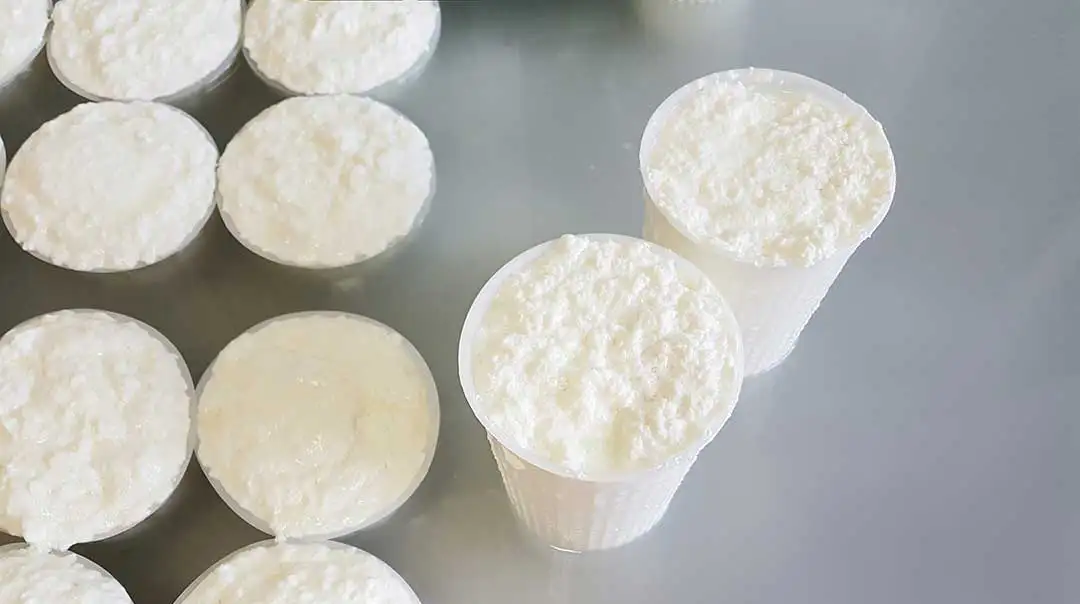 Freshly made ricotta cheese rounds on a table, showcasing the rich texture of this Mediterranean dairy delight.