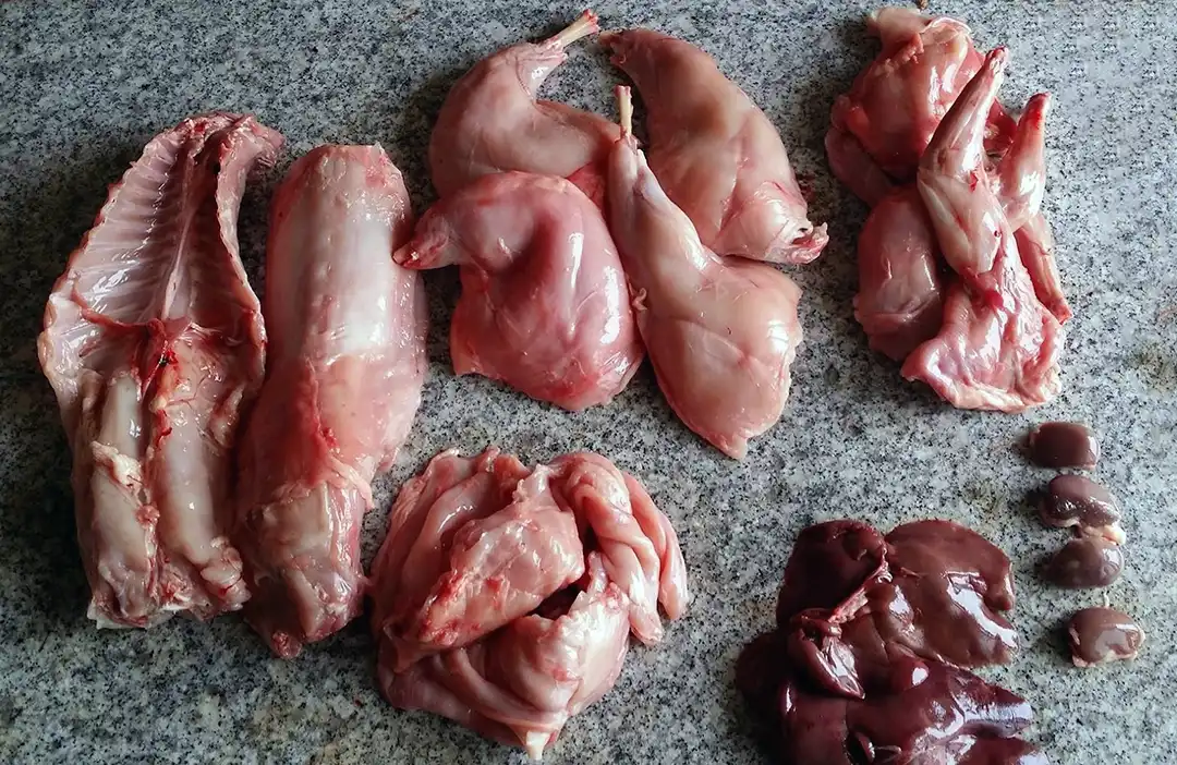 Raw rabbit meat on grey countertop.
