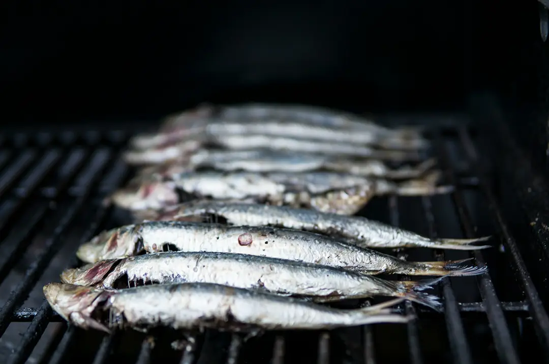 Sardines grilling on a barbecue.
