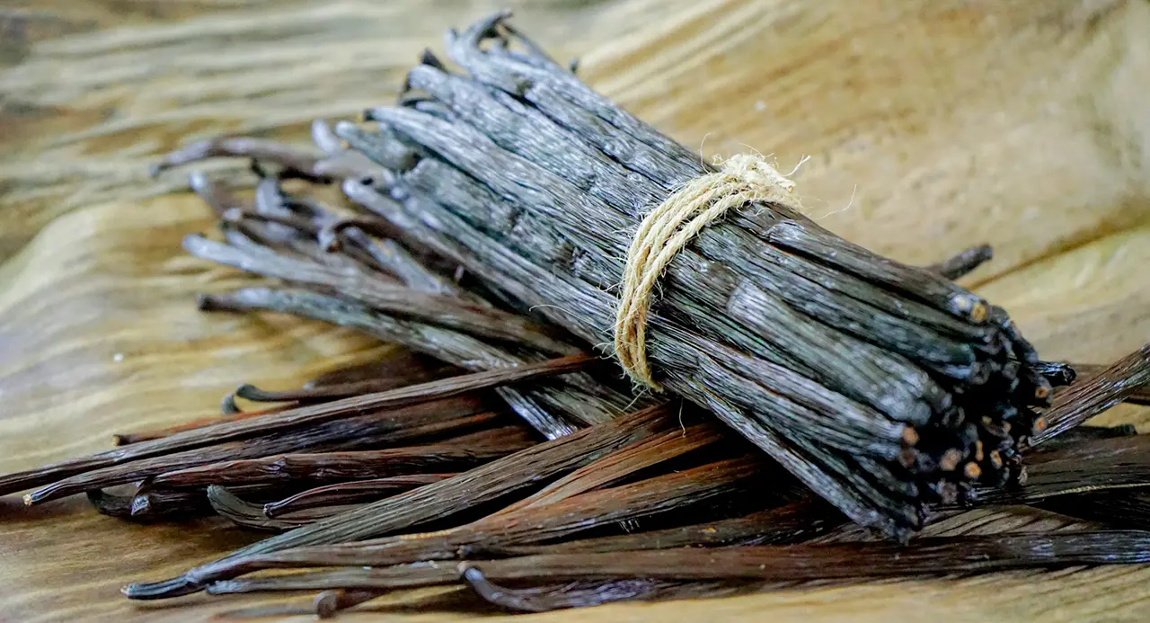 Bundle of dried vanilla beans on wood surface