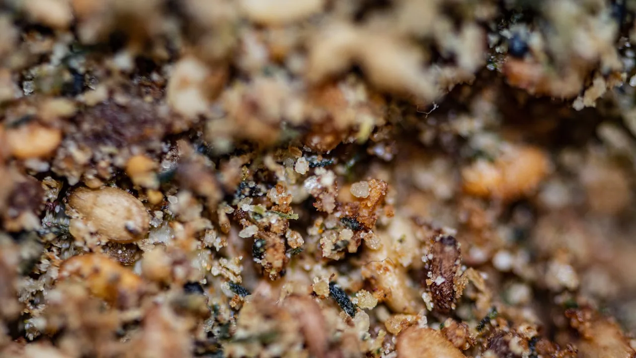 Close-up of mixed granola texture